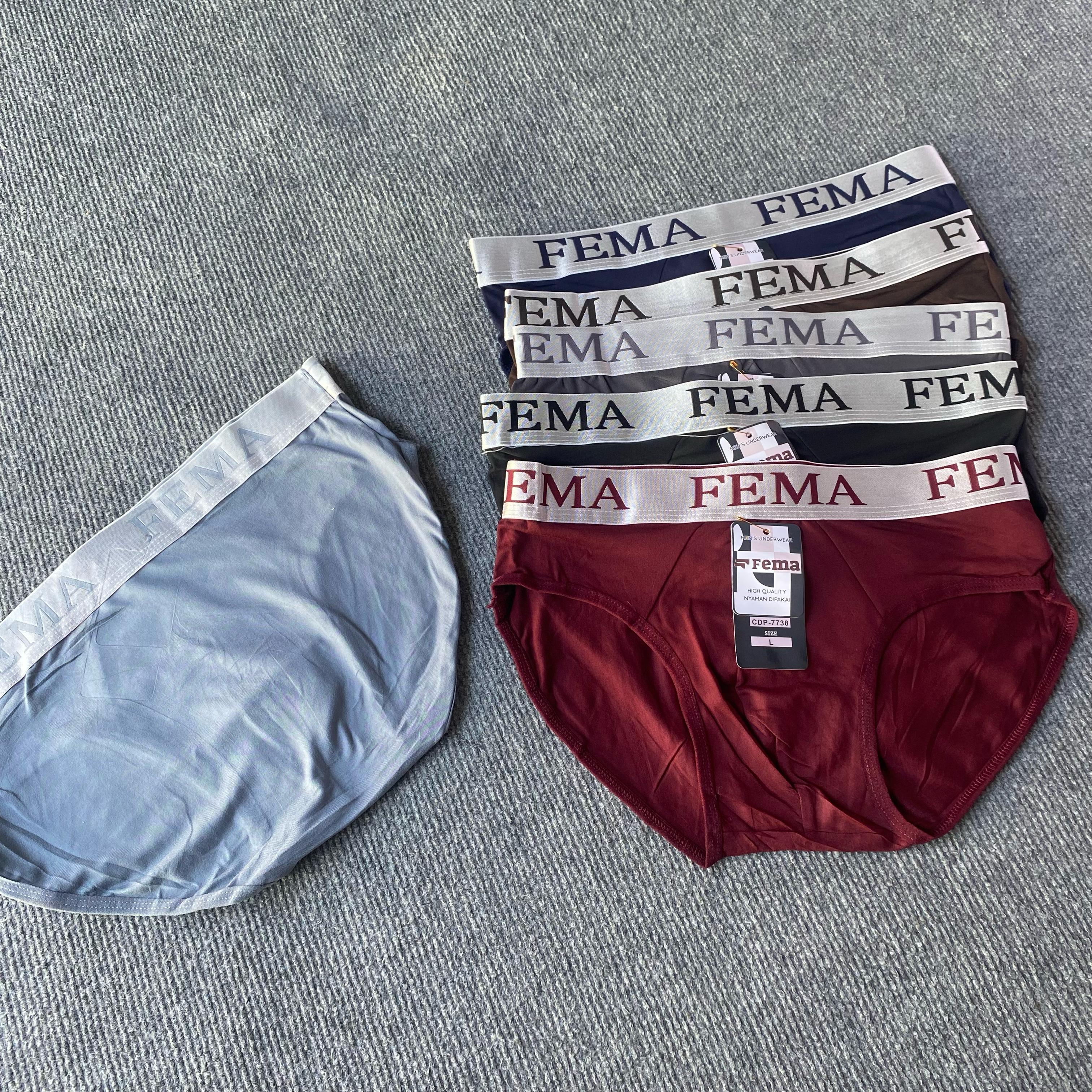 CD SEGITIGA FEMA BAN SILVER