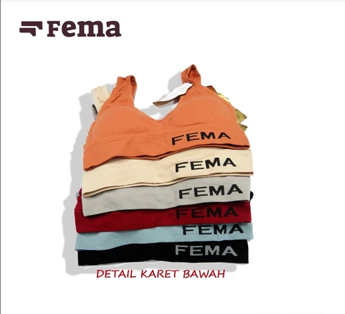 MINISET FEMA BUSA