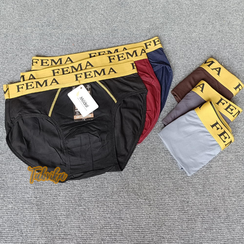 CD SEGITIGA FEMA BAN KUNING